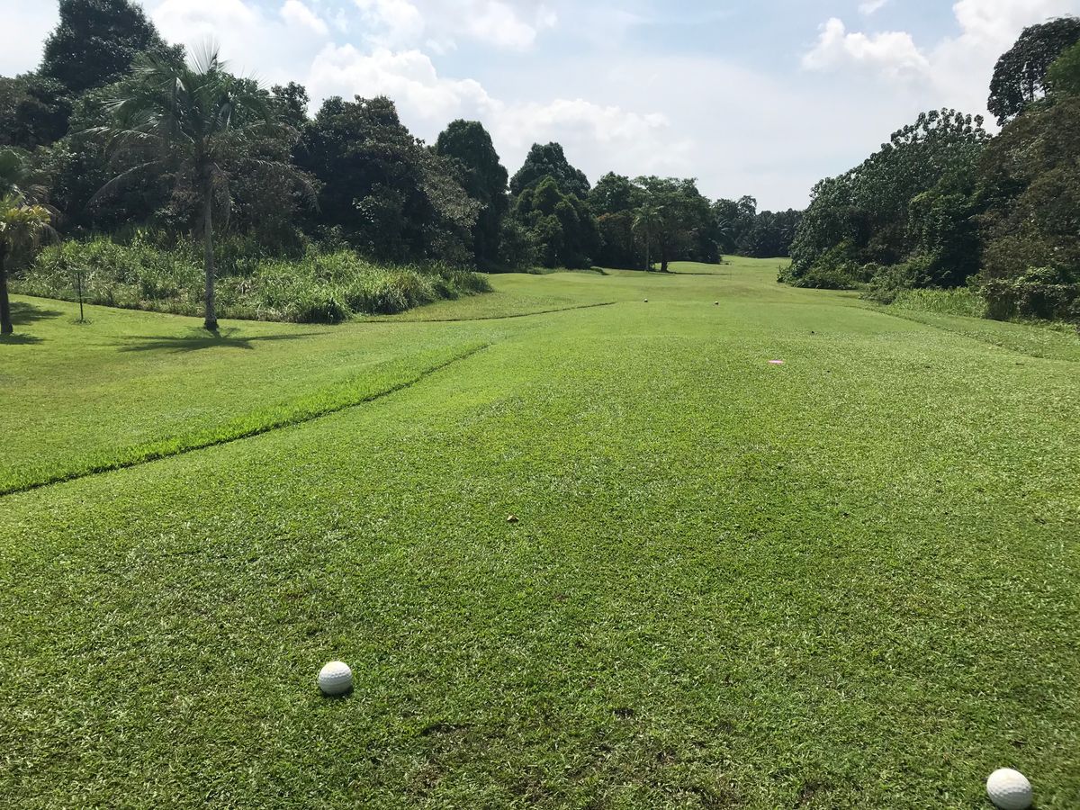 Hole 6 tee. Short hyzer to the left. Good idea to have a spotter to see the OB or the ace!