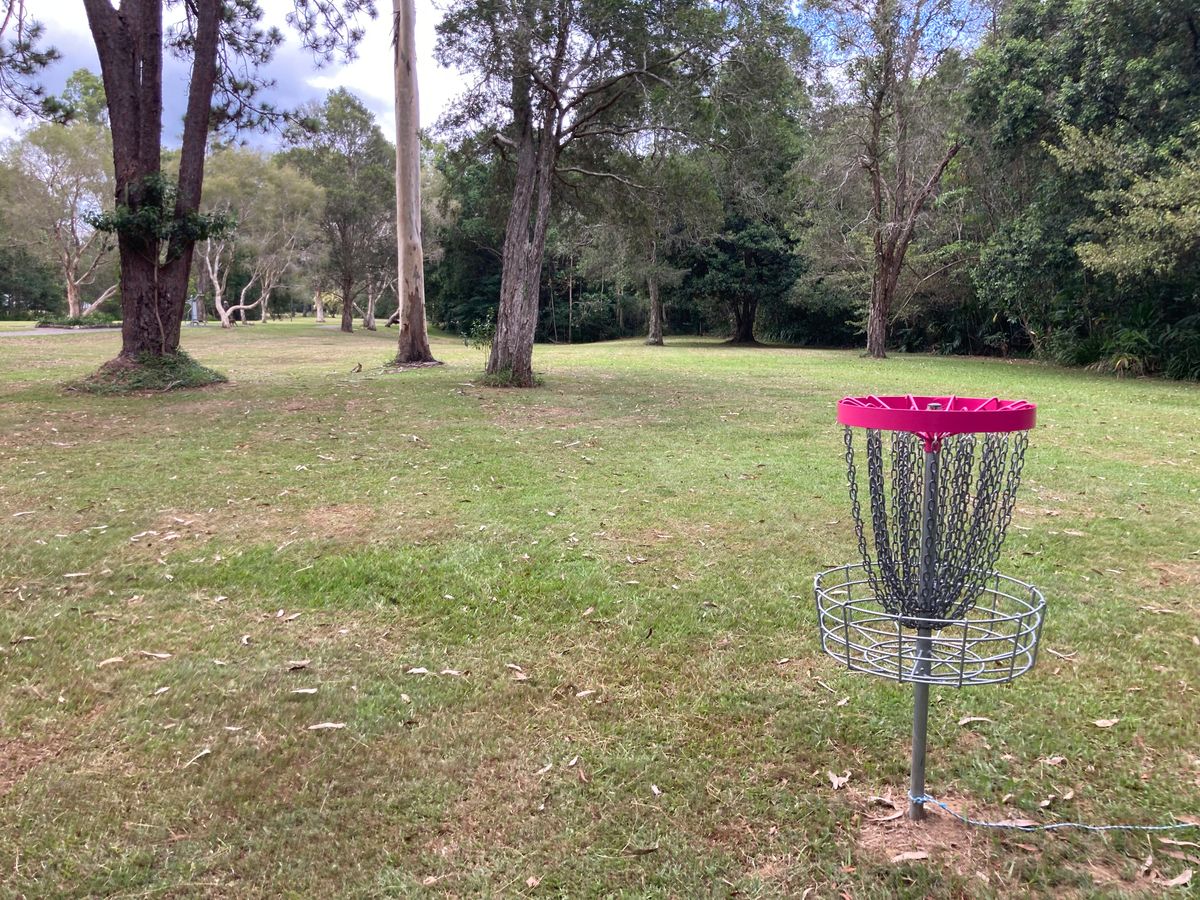 Hole 6 basket