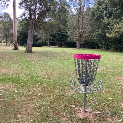 Hole 6 basket
