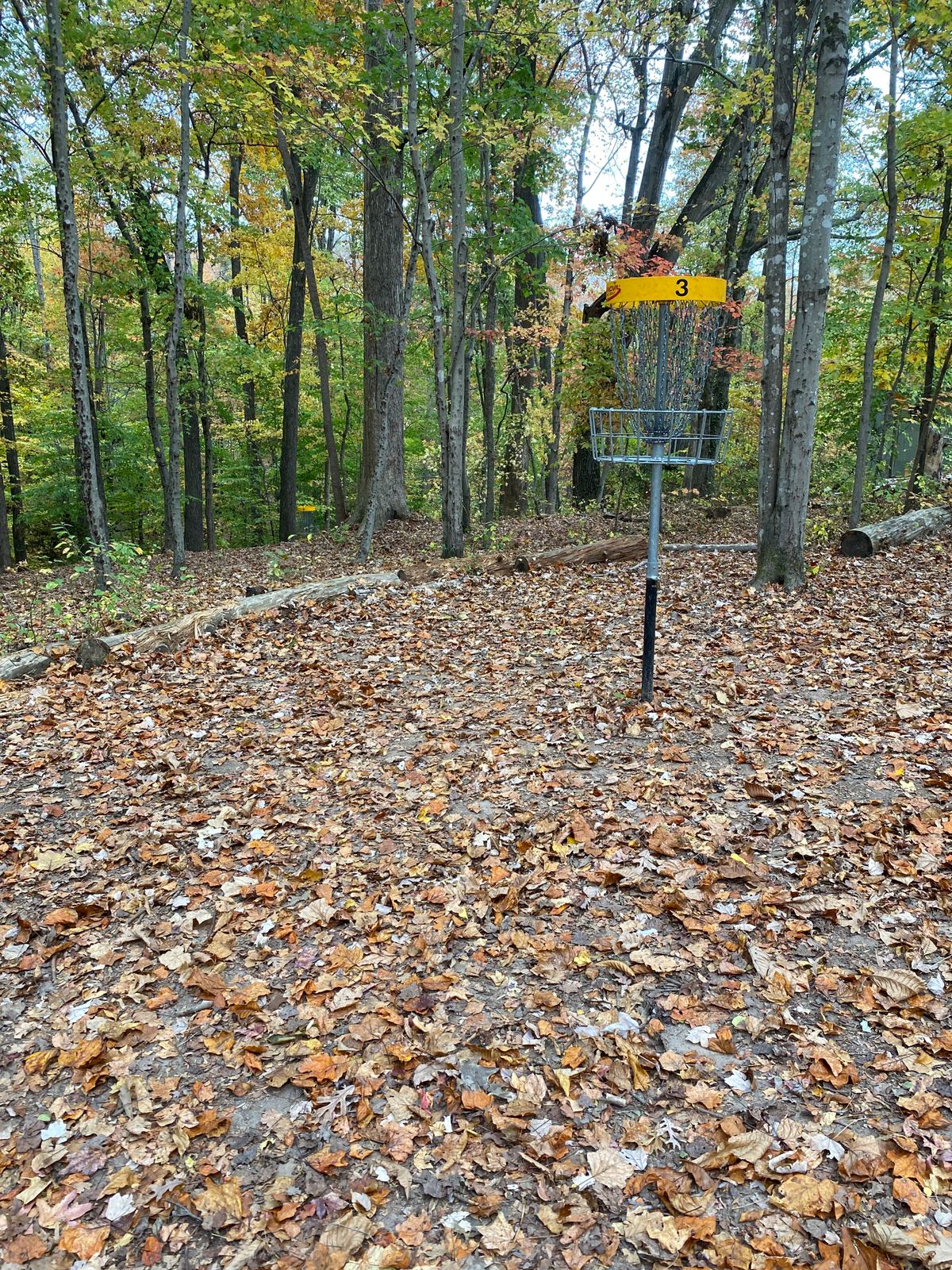 Hole 3 basket