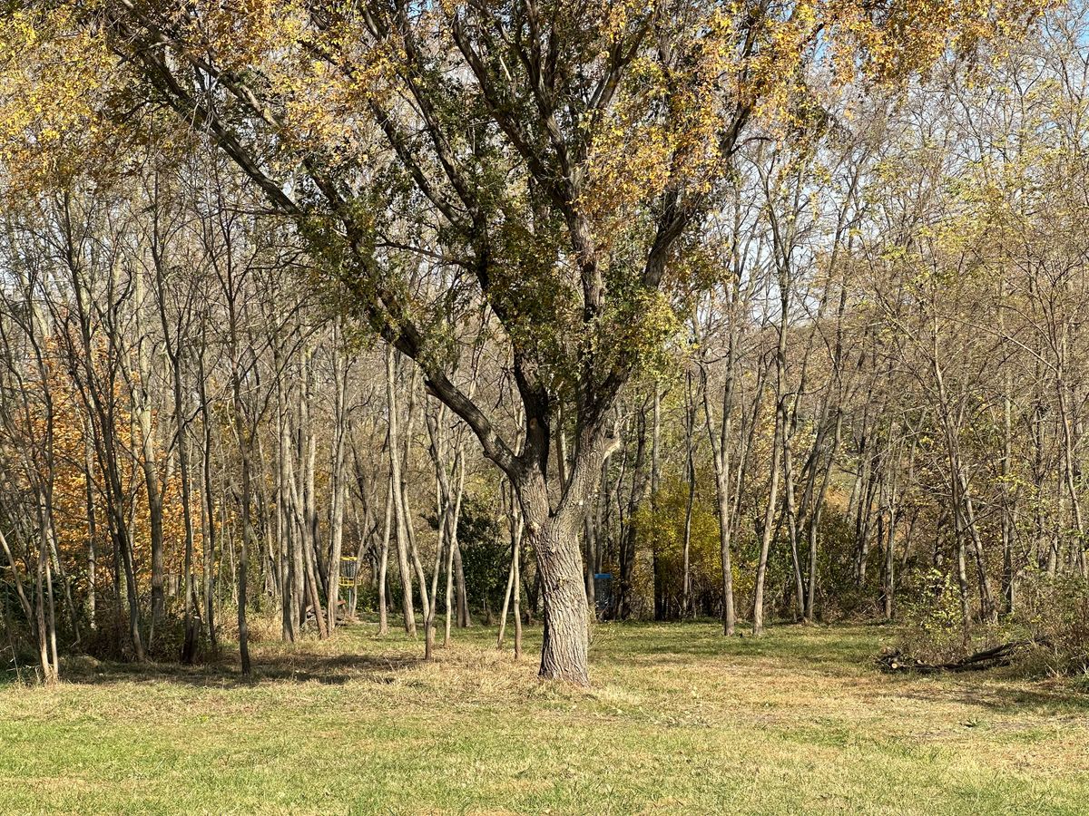 Hole 20