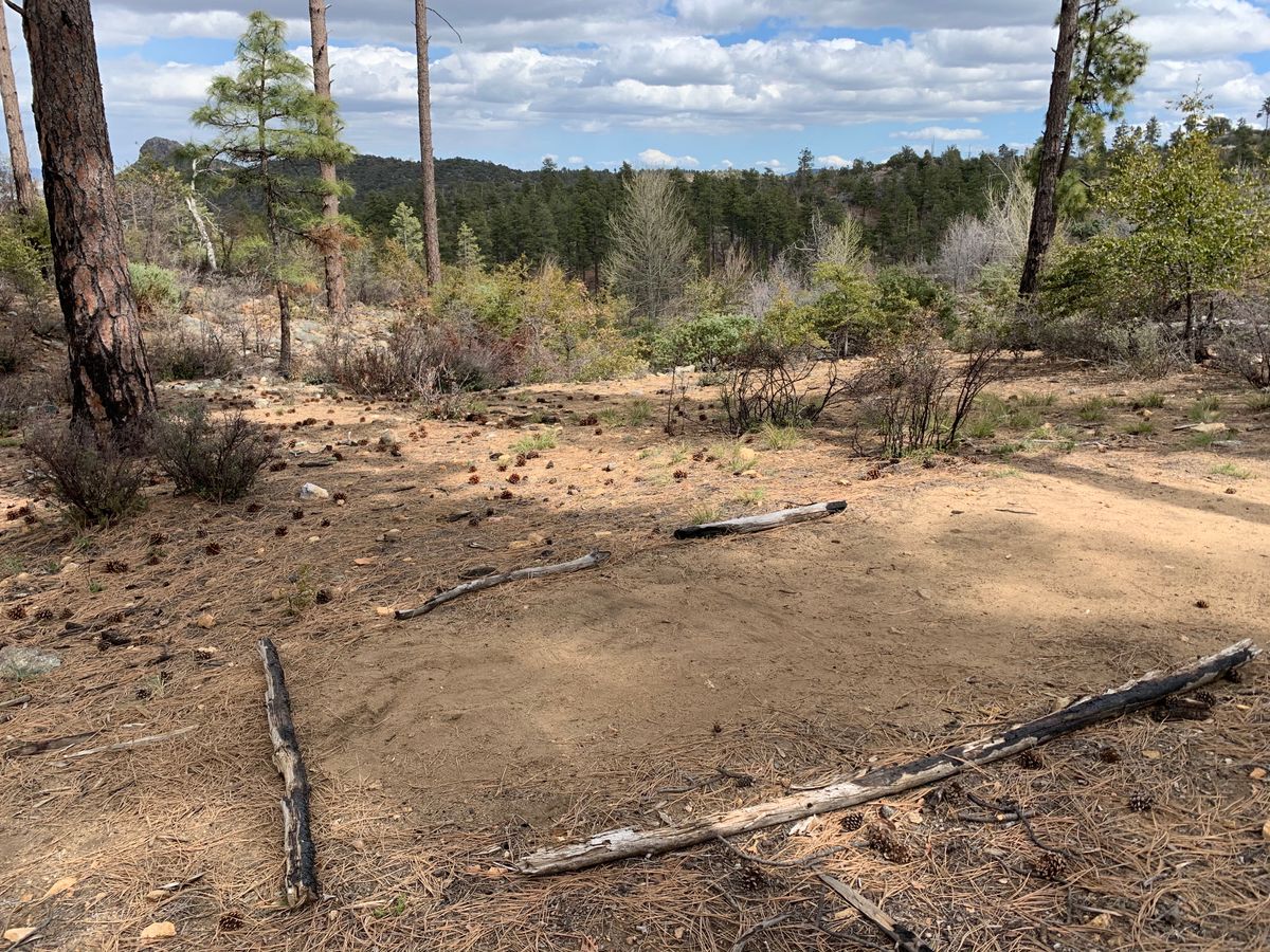 Hole #7 tee box
