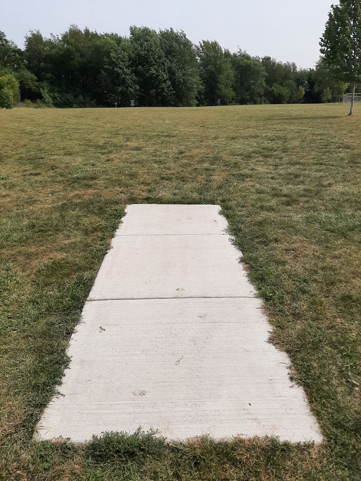 Short Pad