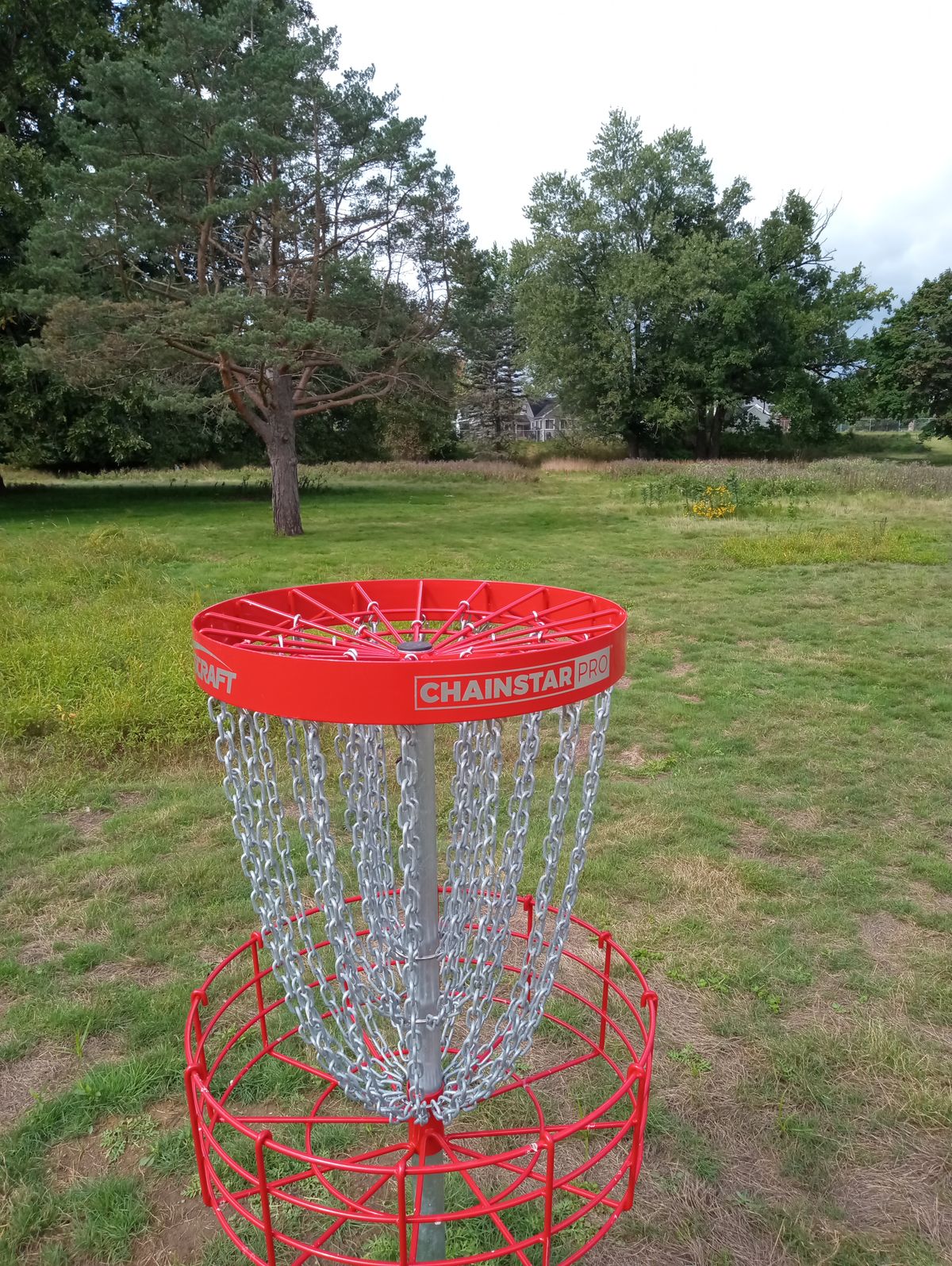 Hole 15 back to tee