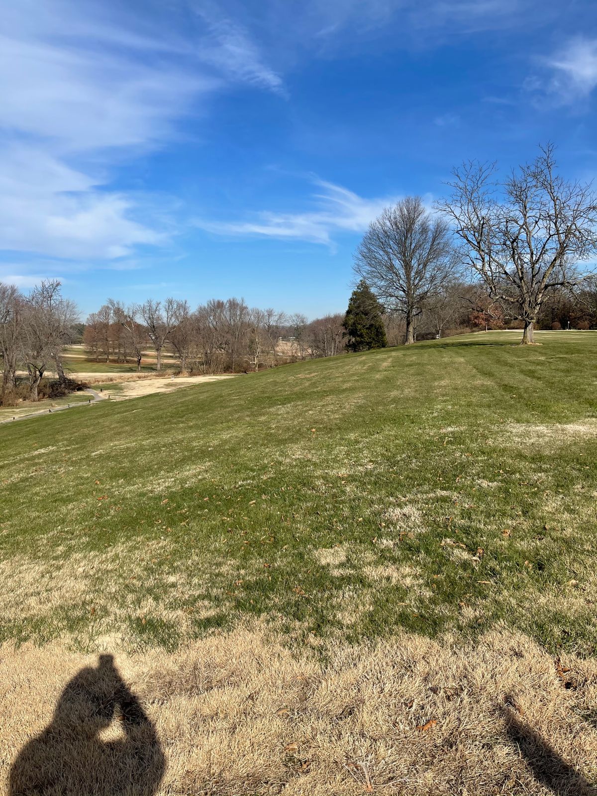 Hole 13s tee view. Basket in short position