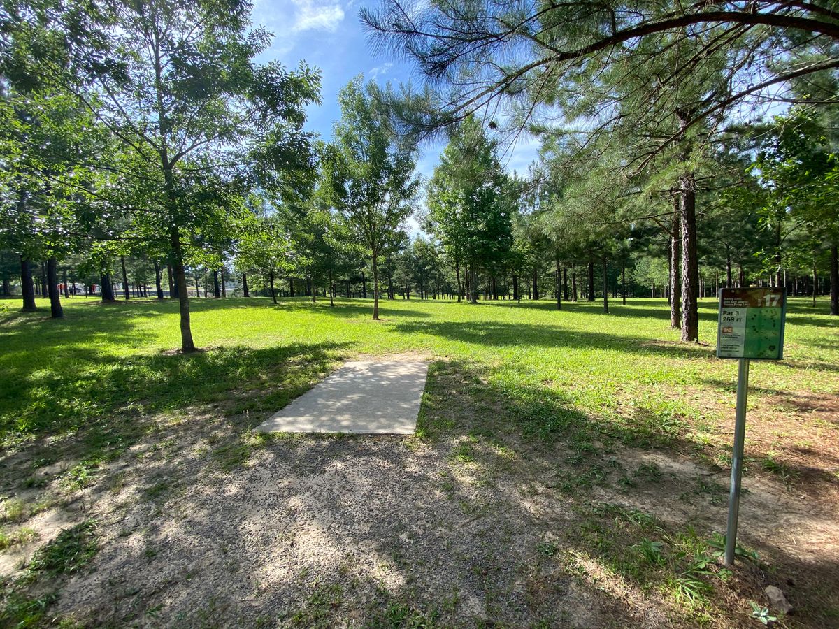 Hole 17