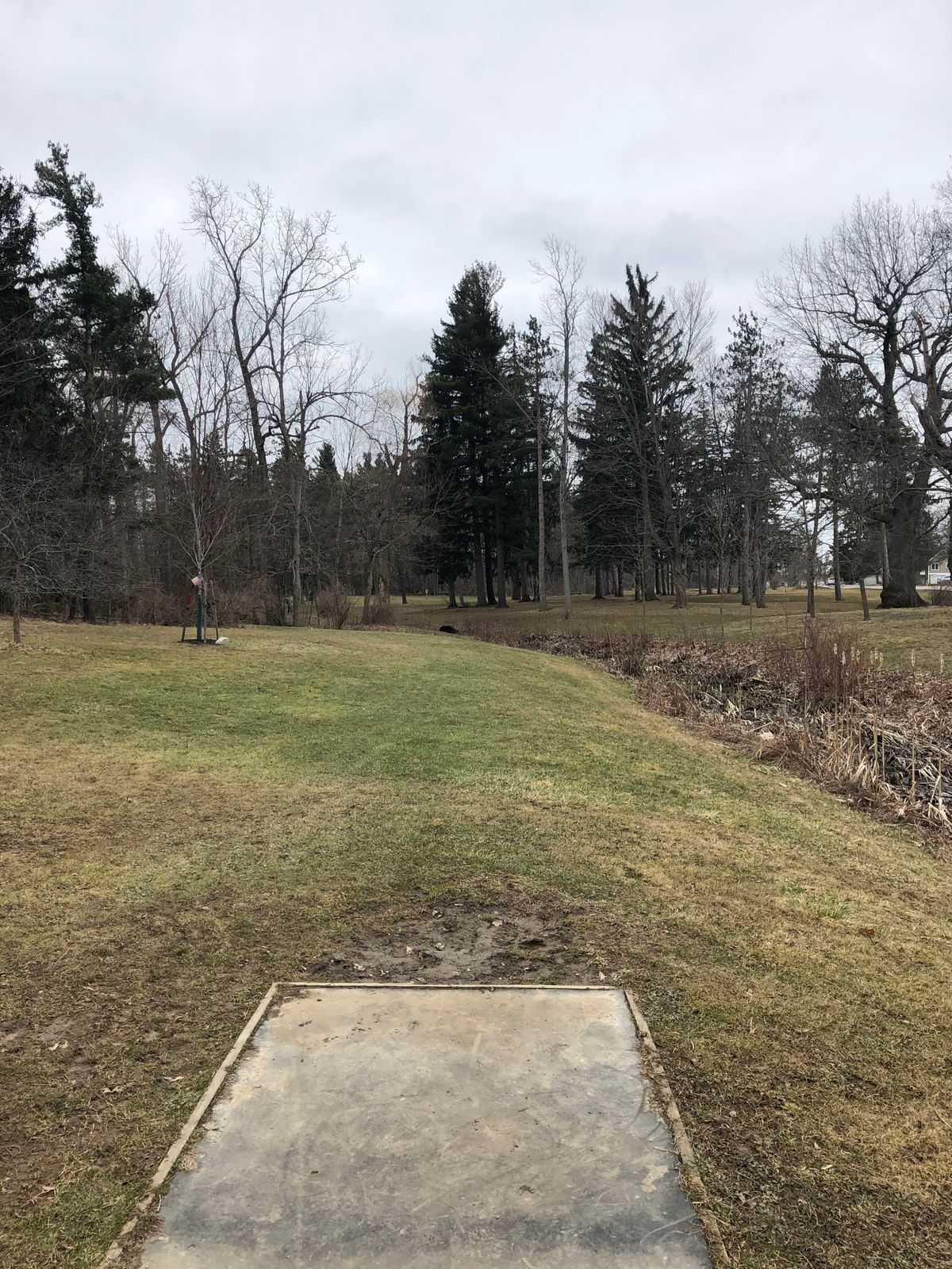 3rd tee