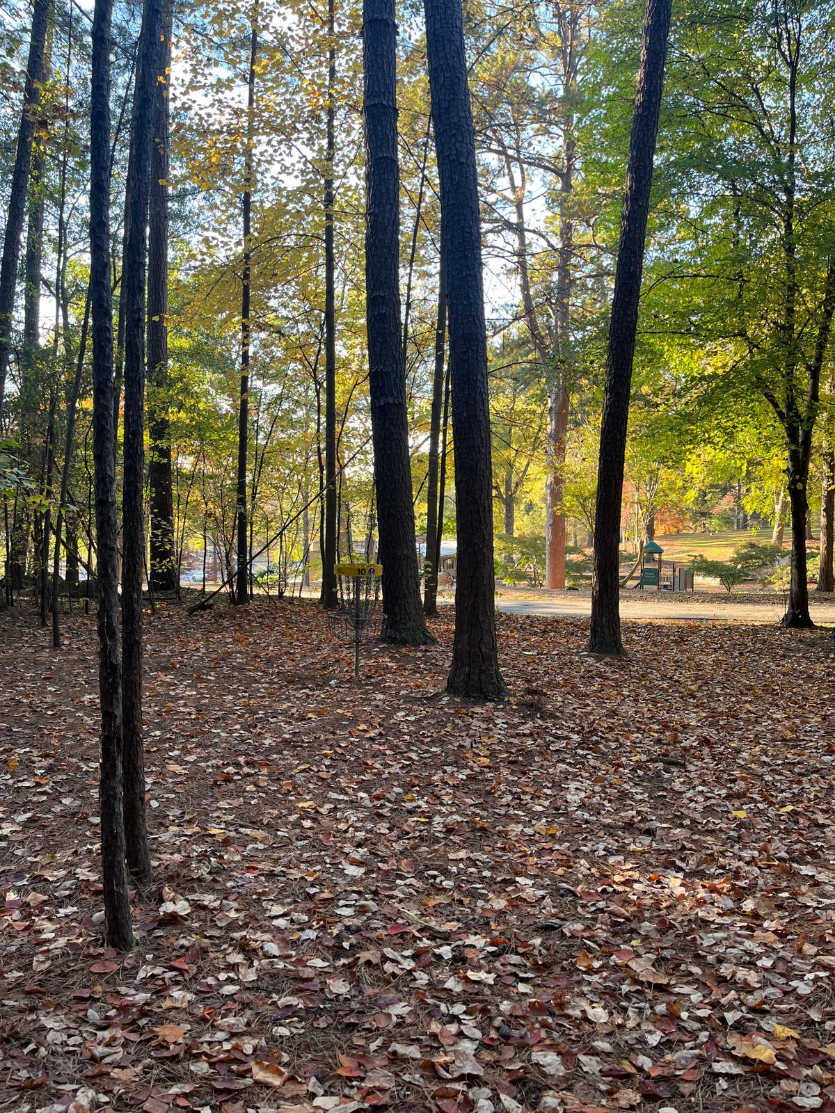 Hole 10 basket
