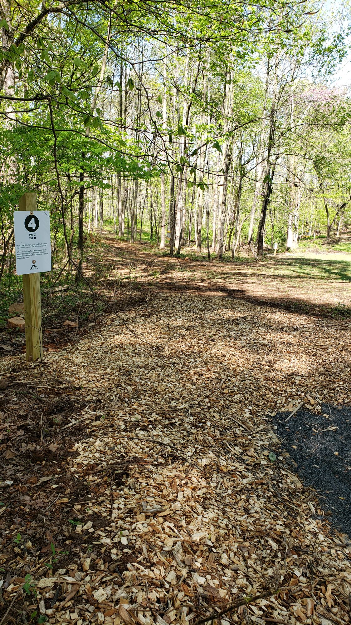 Hole 4