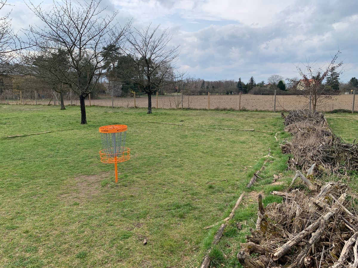 Hole 9 - OB island 🏝️