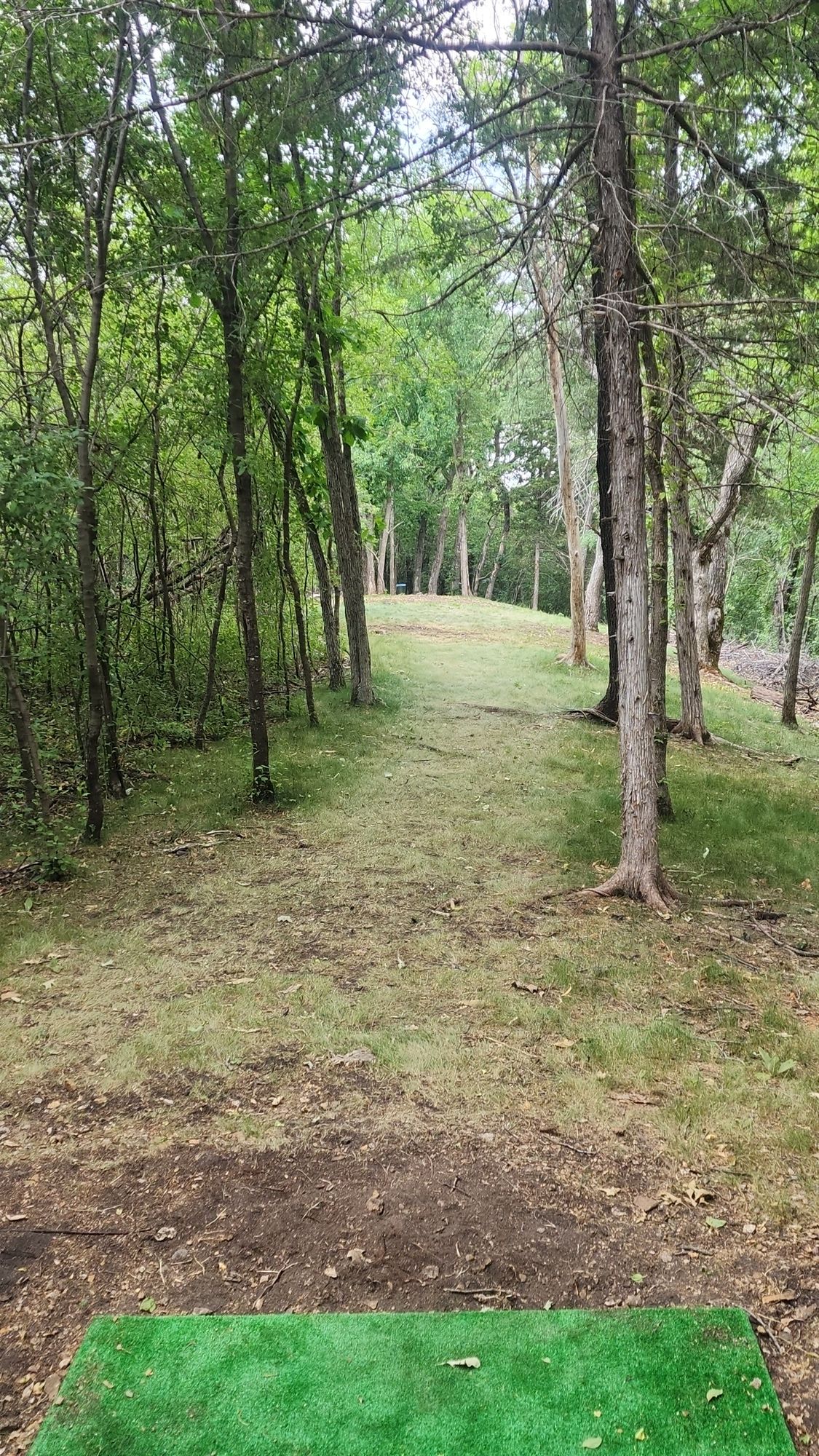 Top of the hill hole 13