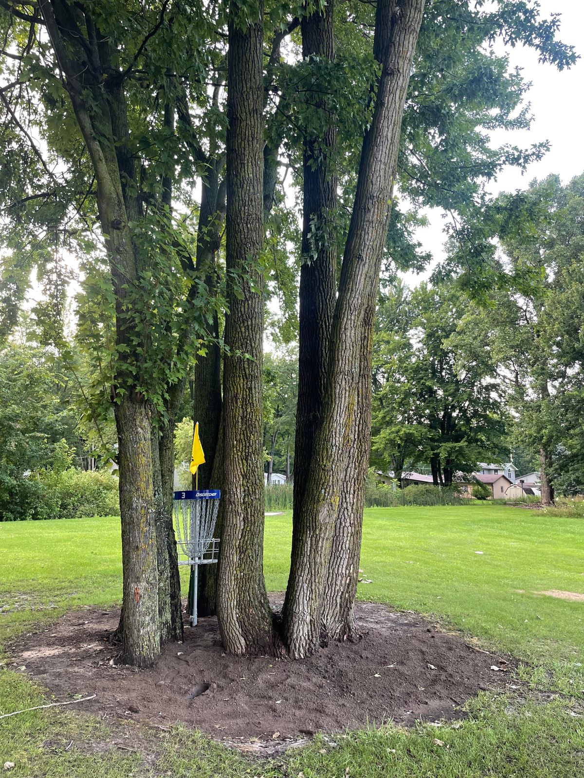 Hole 3 basket