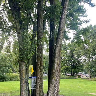 Hole 3 basket