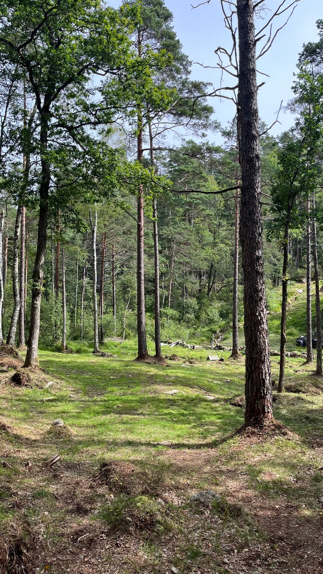 Hole 6