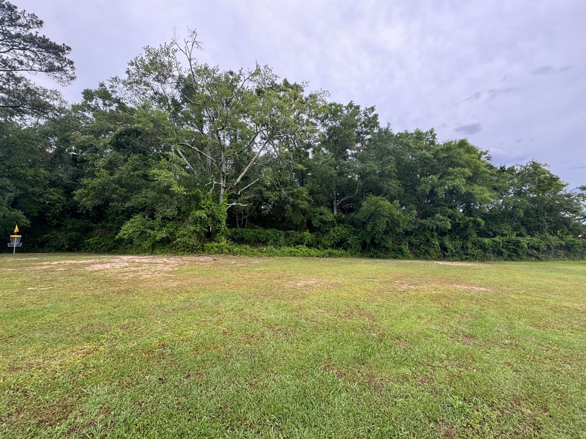 Hole 4
