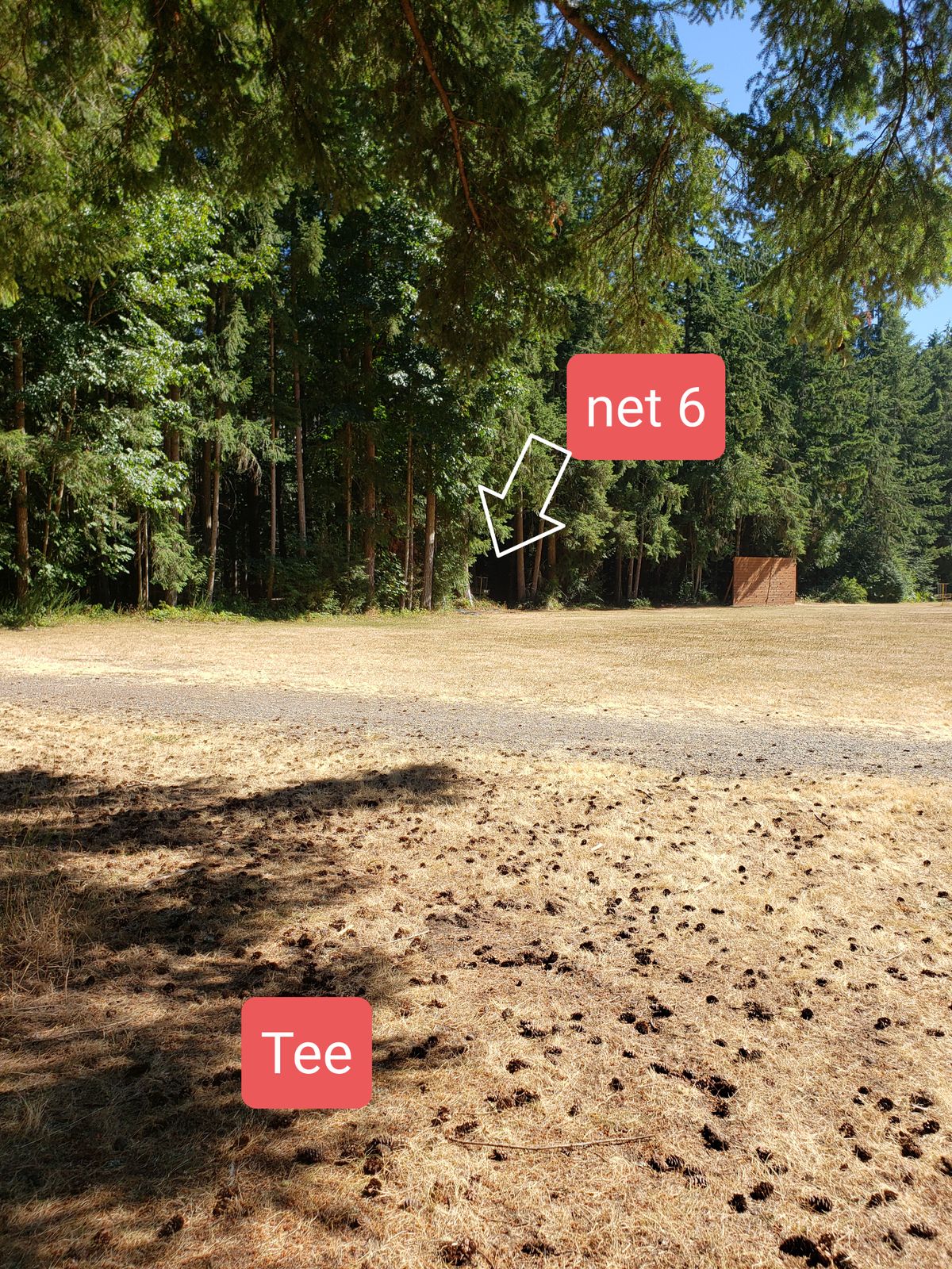 Net 6