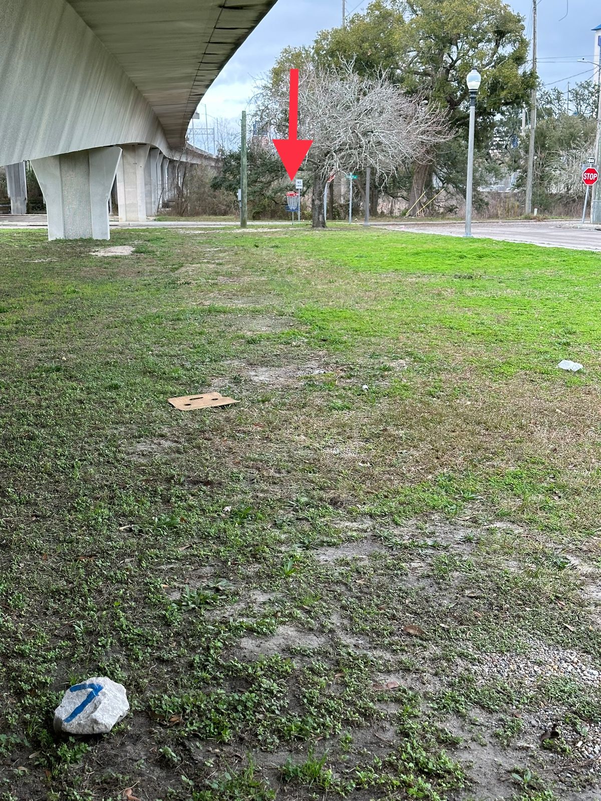 View from tee box.