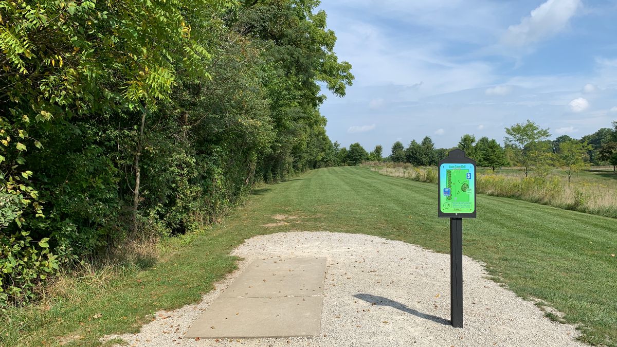 Tee pad 03