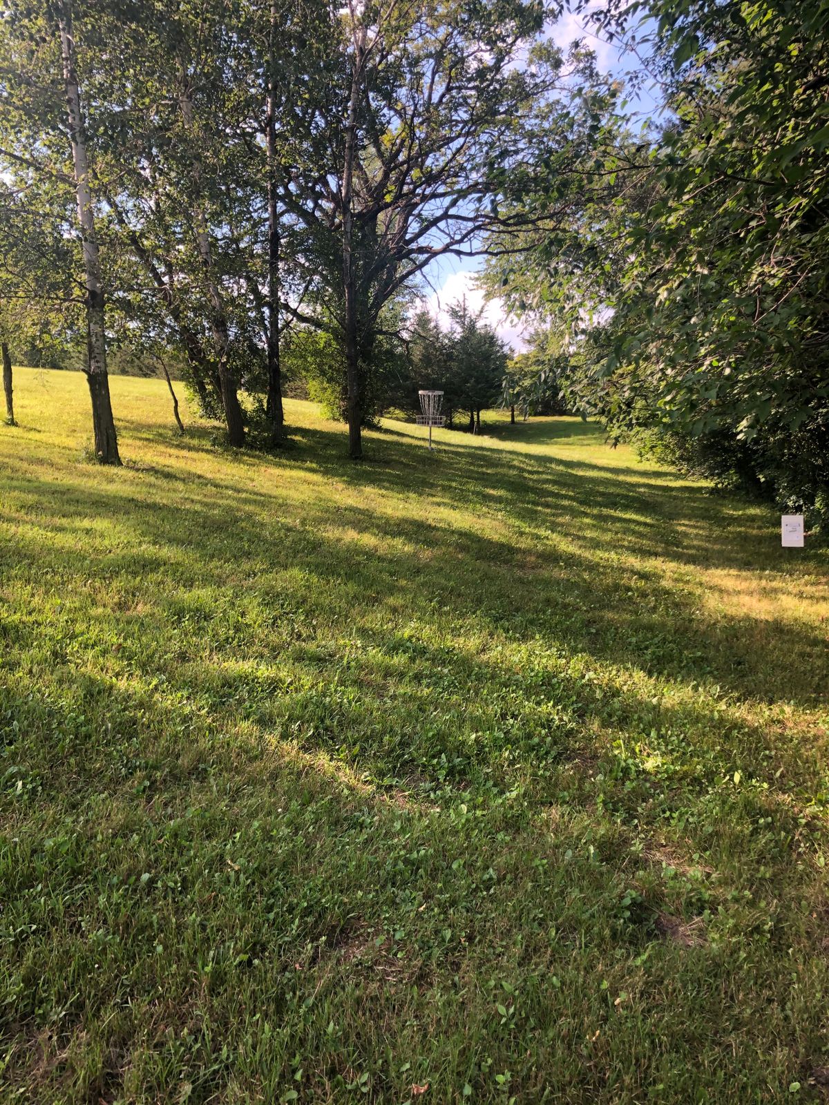 Basket Hole 6
