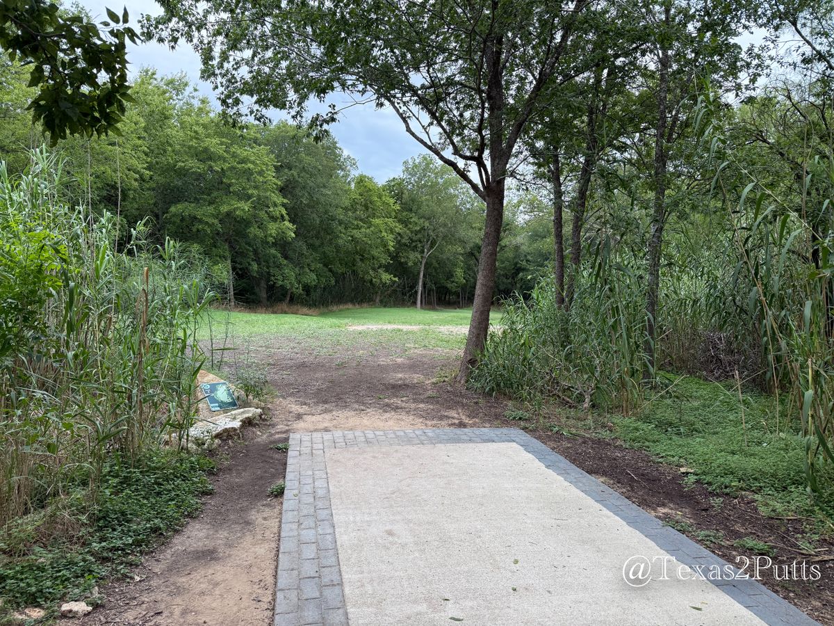 Hole 5