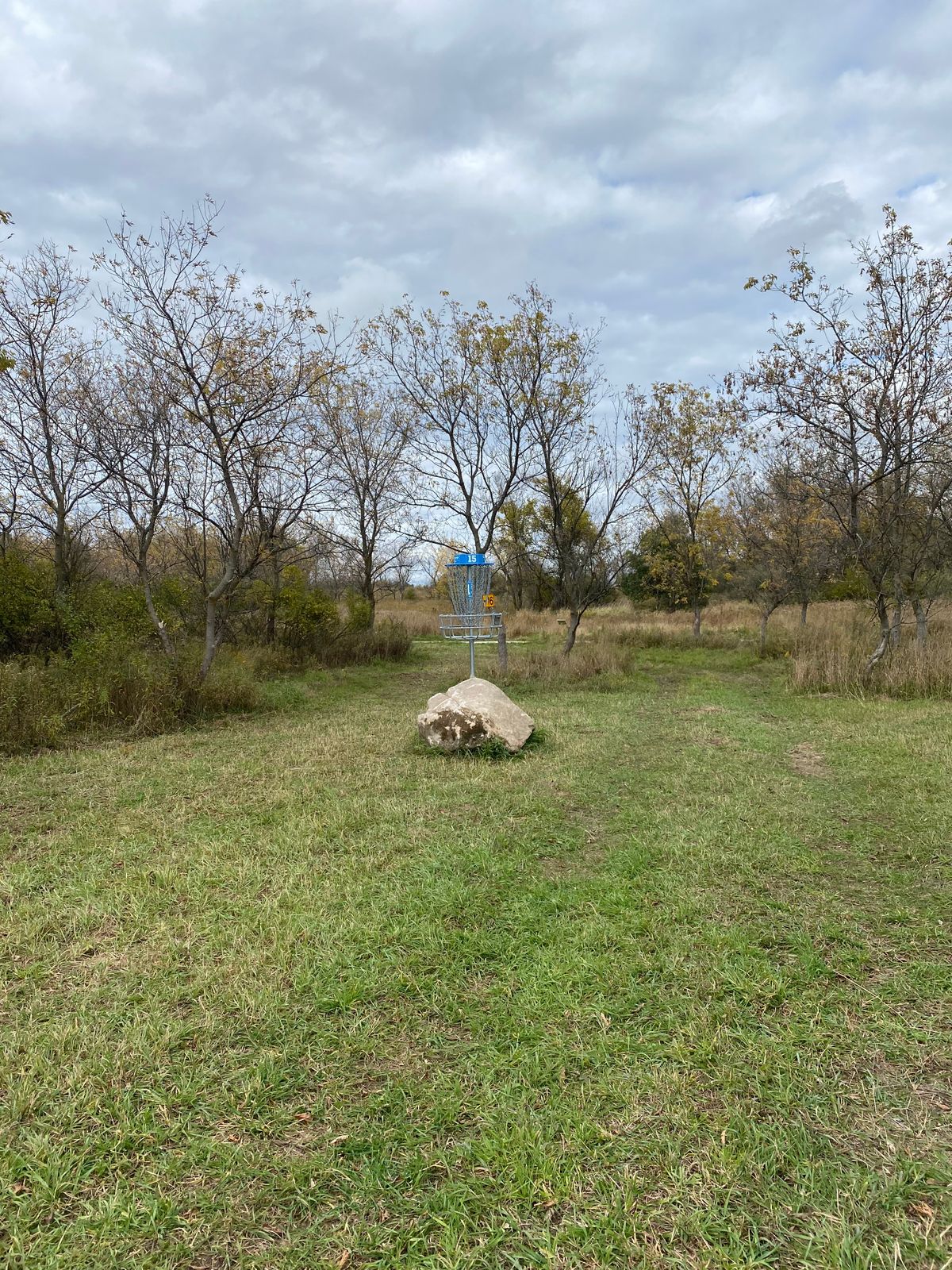 Hole 15 basket.