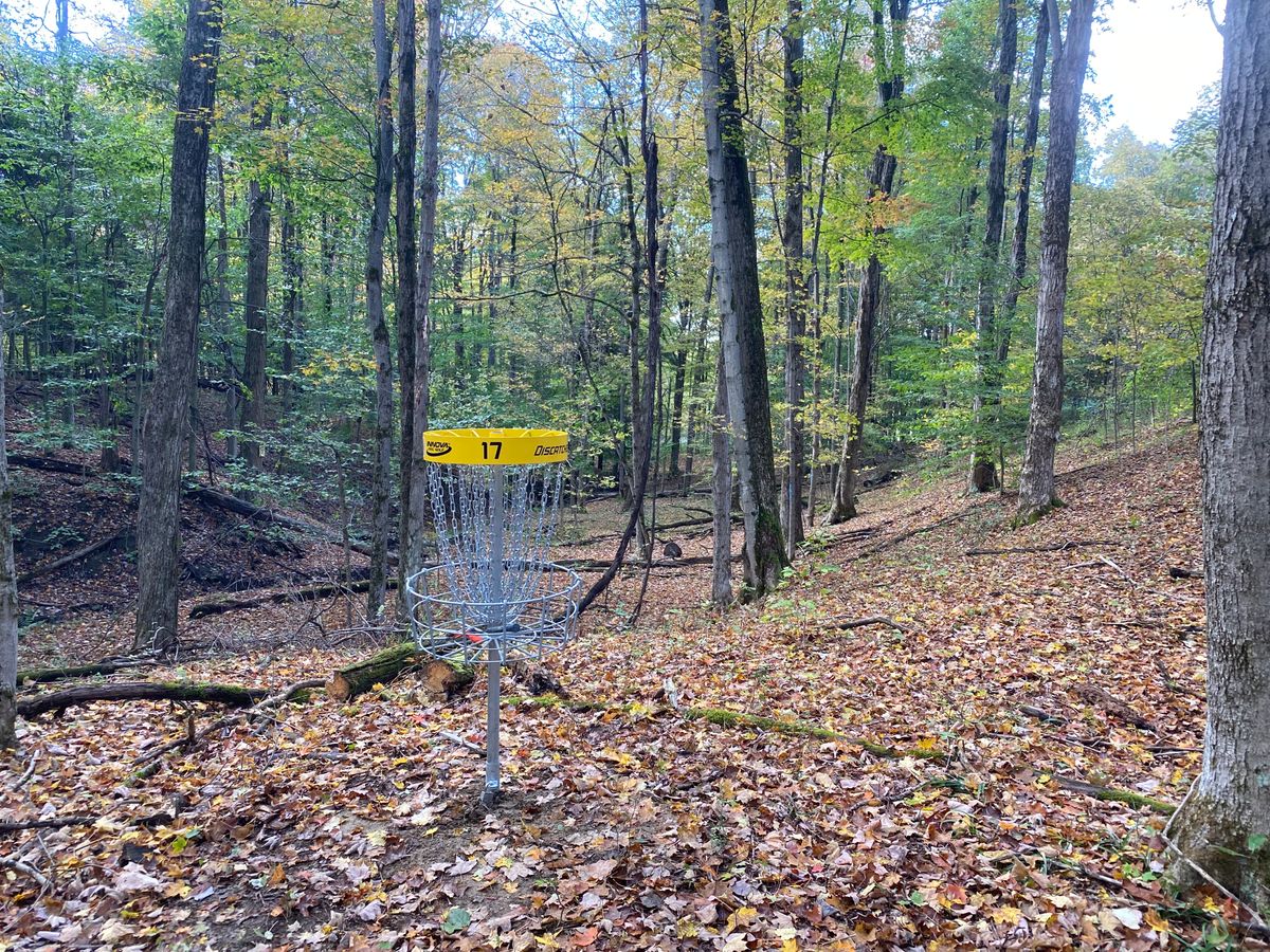 17 short pin