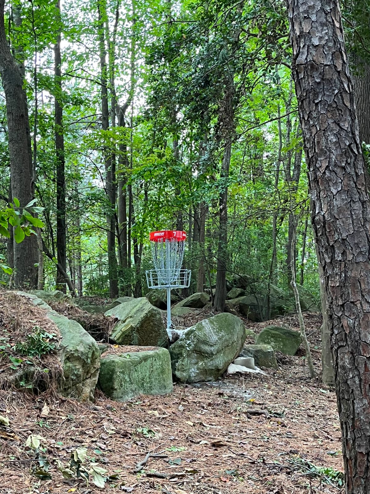 Basket Hole 7