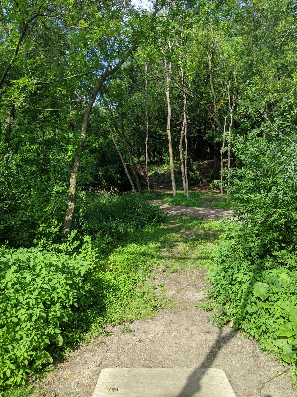 Hole 9
