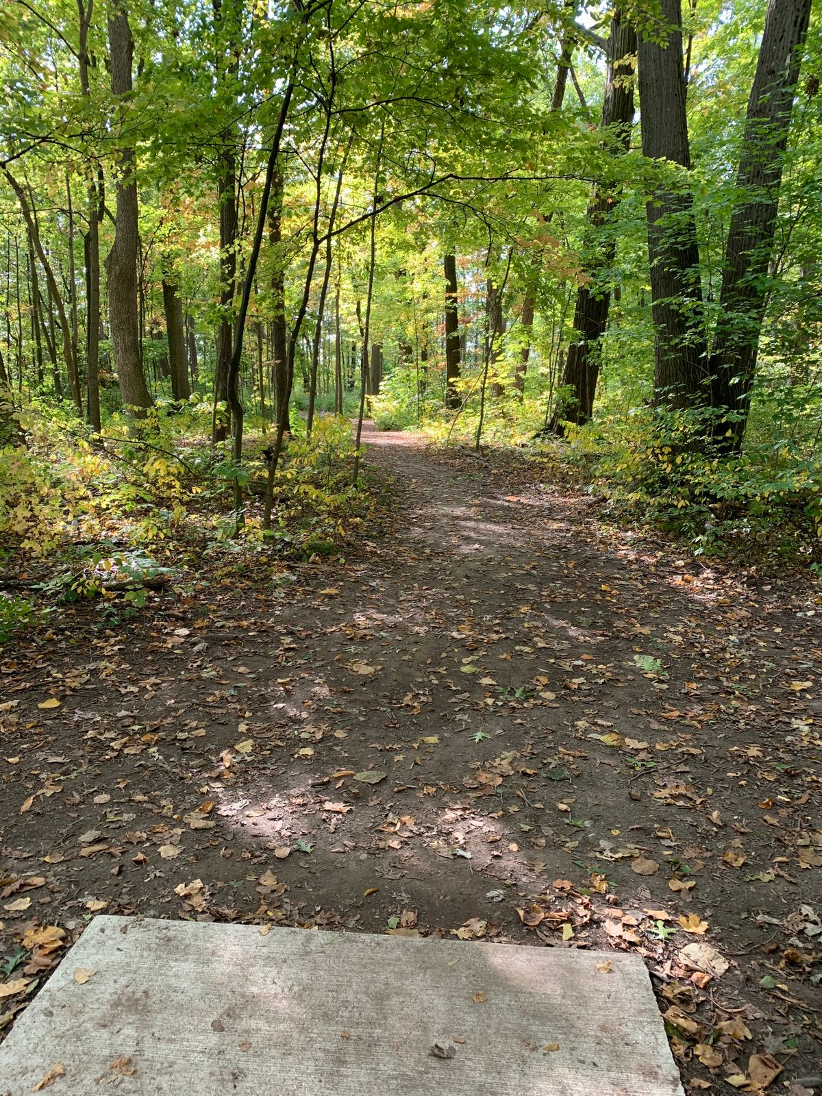 Hole 8 Tee