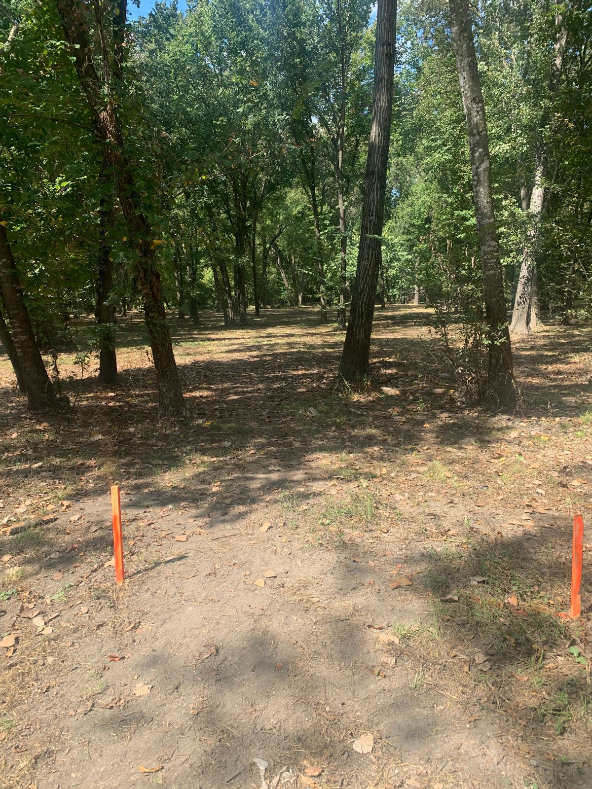 Hole #3 tee