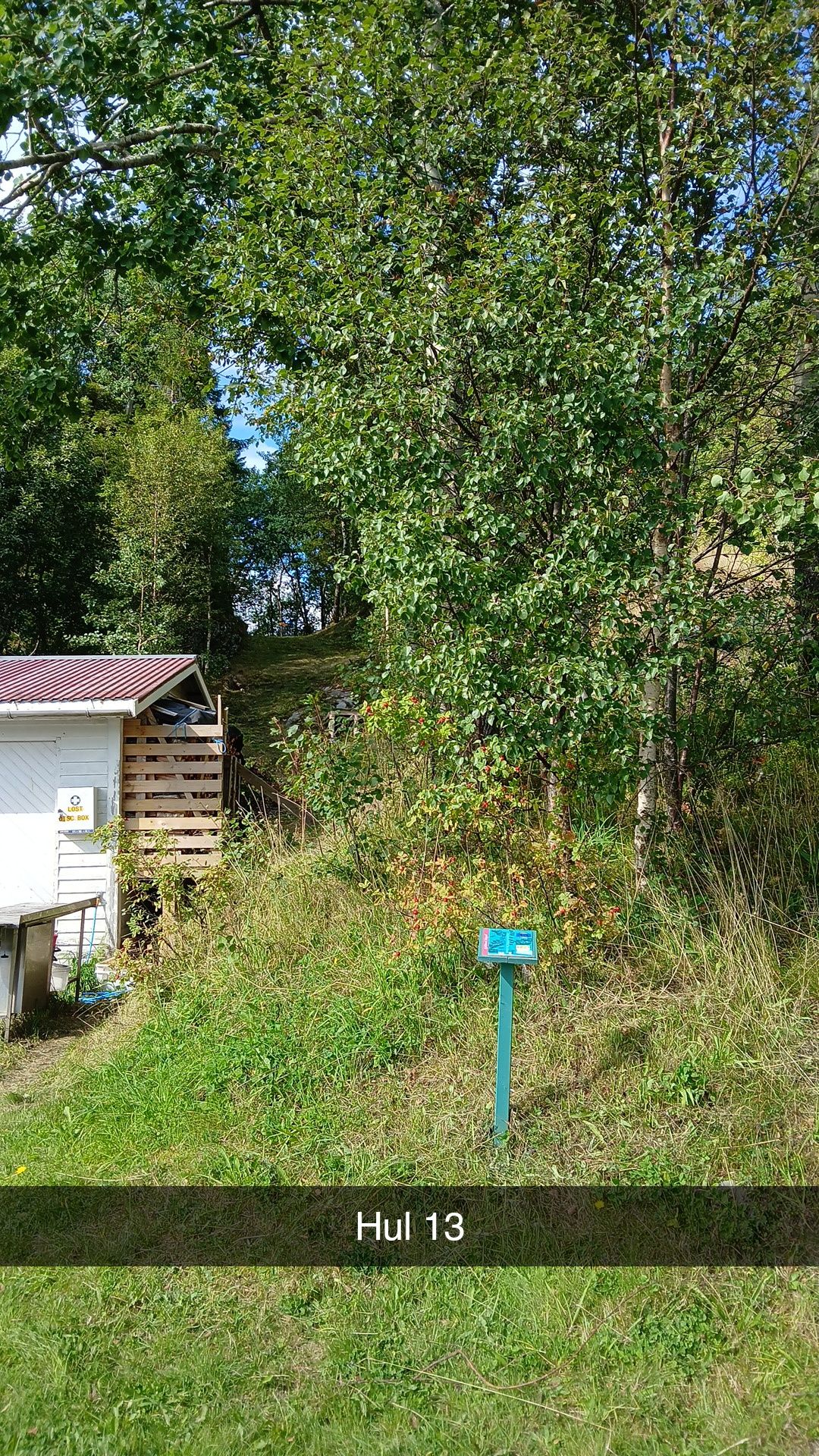 Blå