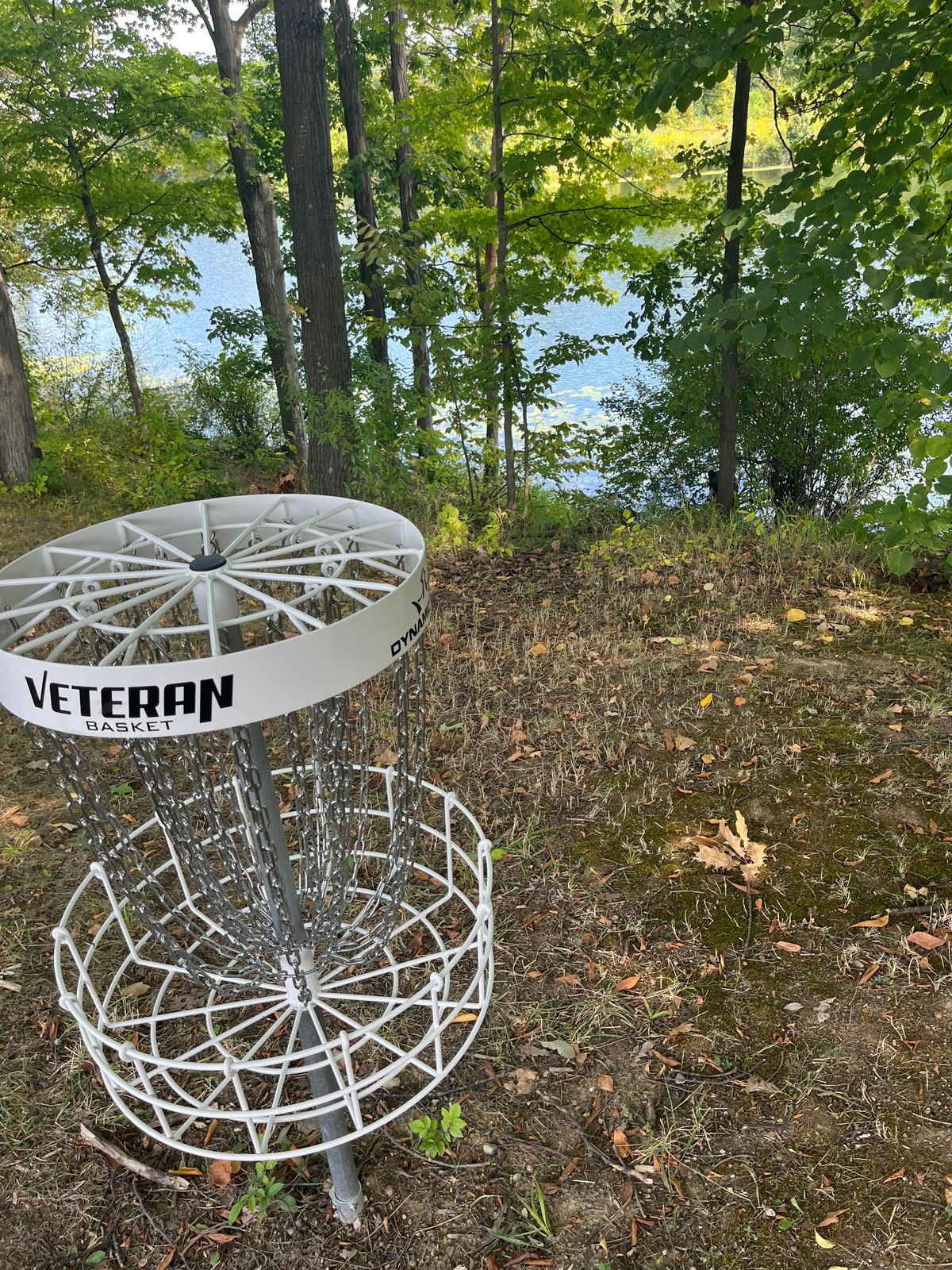 Basket on 18