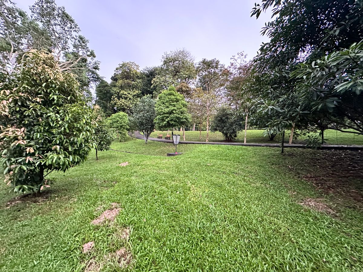 Hole 17 Basket