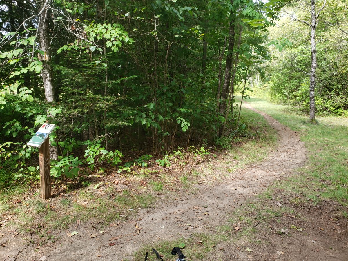 Hole 4