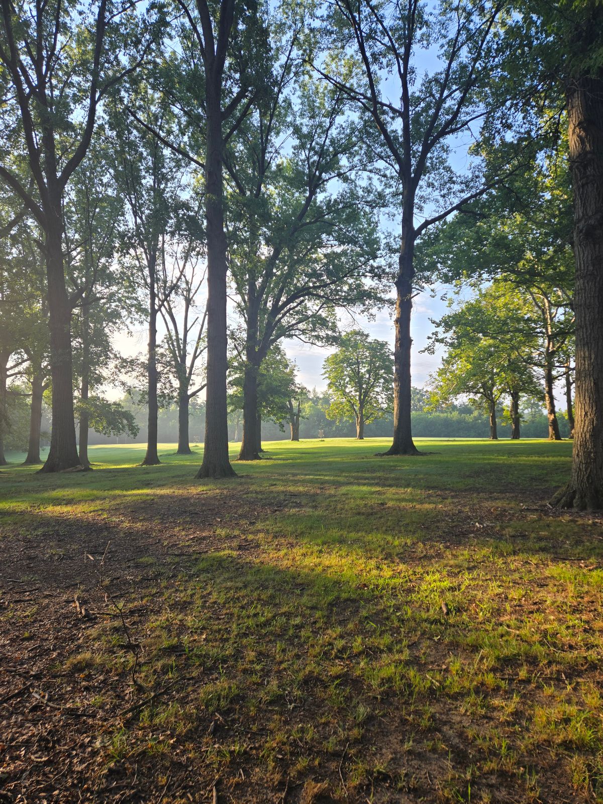 Hole 7 looking towards hole 10's basket
