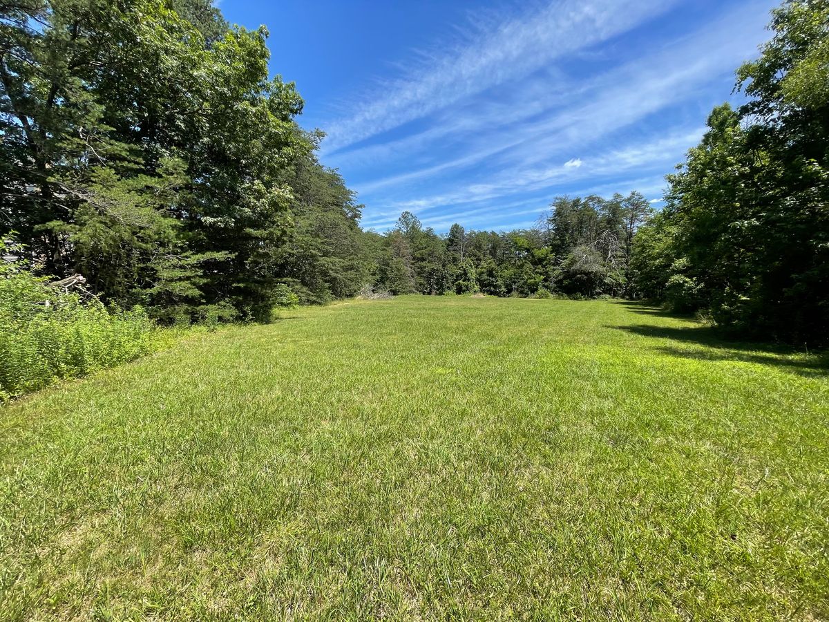 Hole 5 tee