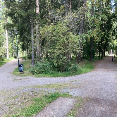 Tee 4 välj sida och kasta på mot korg