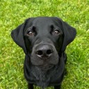 User avatar image