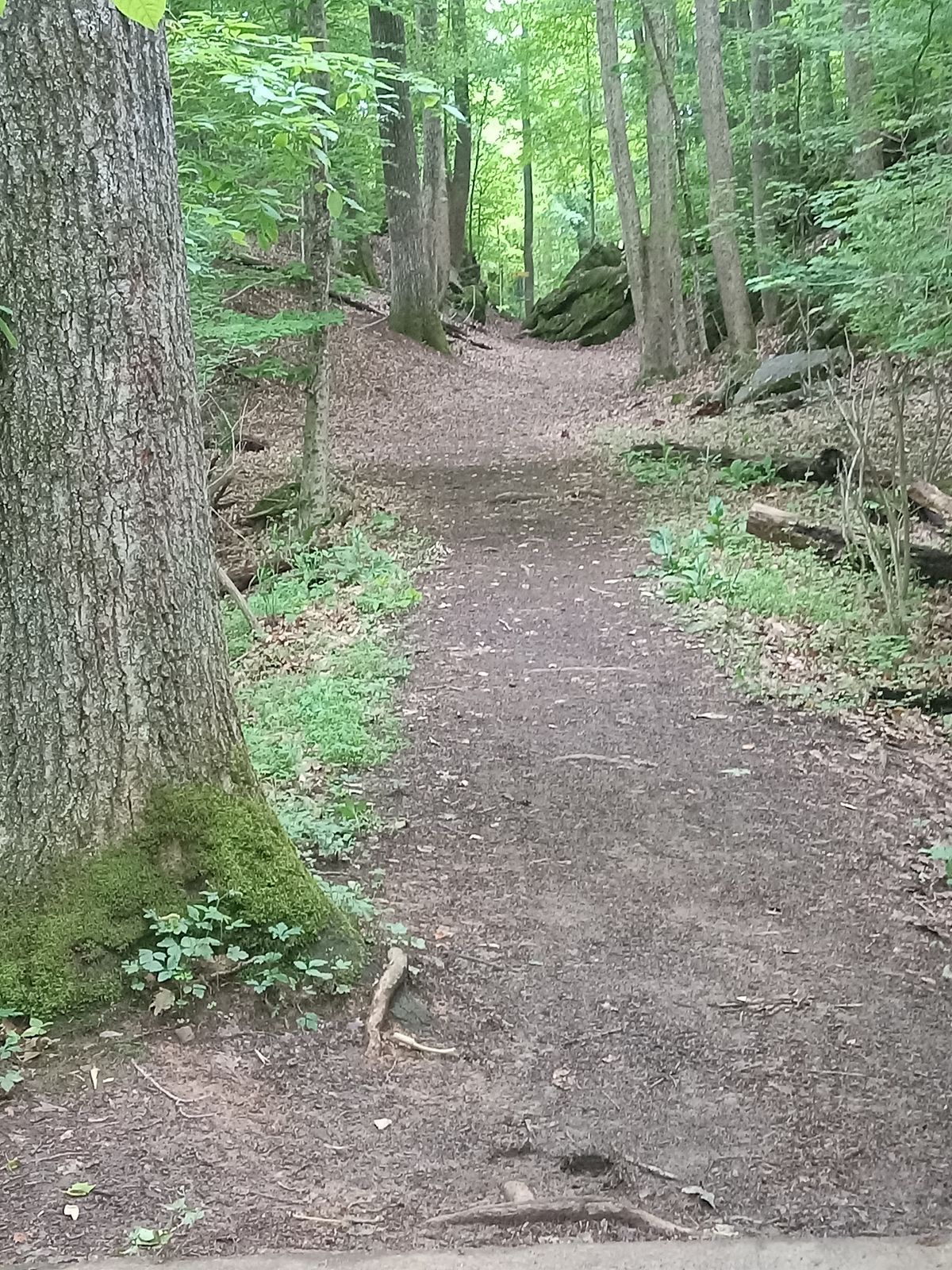 Teepad at 18 for lakeside layout