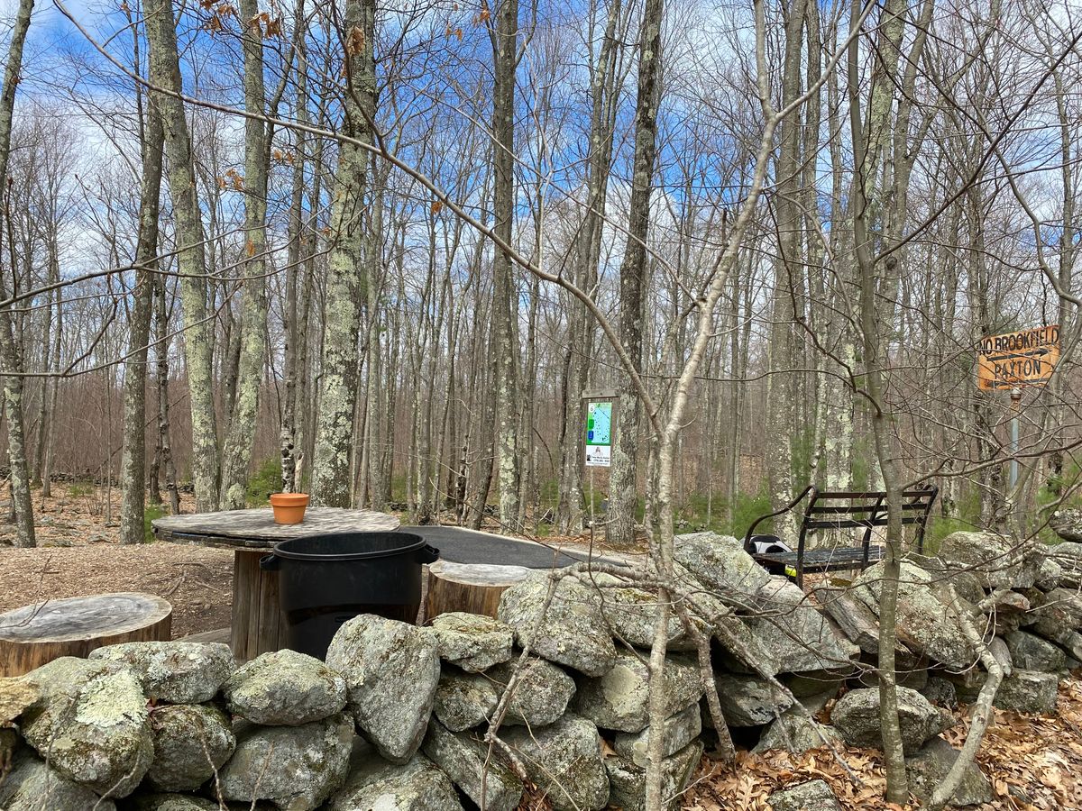 Hole 6 Tee