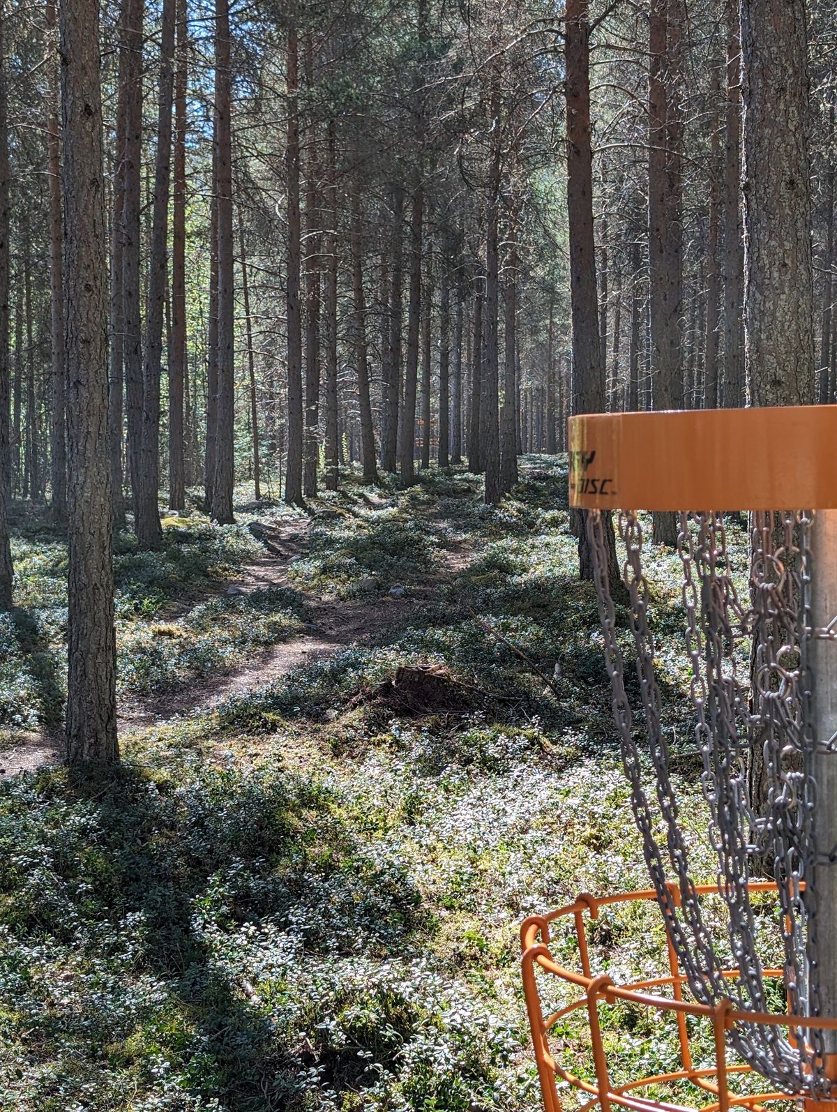 Hole 9