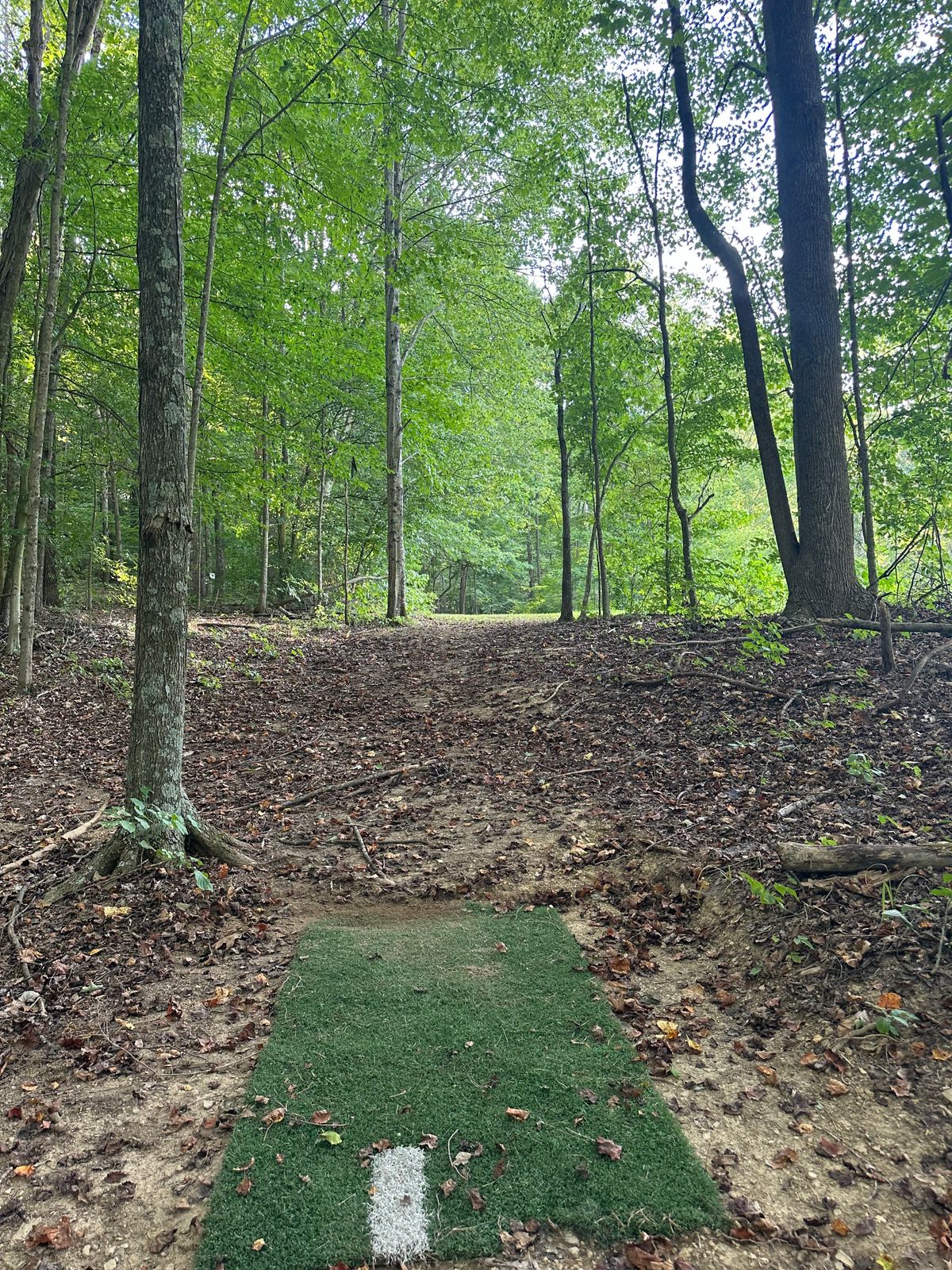 Hole 11 - Short tee