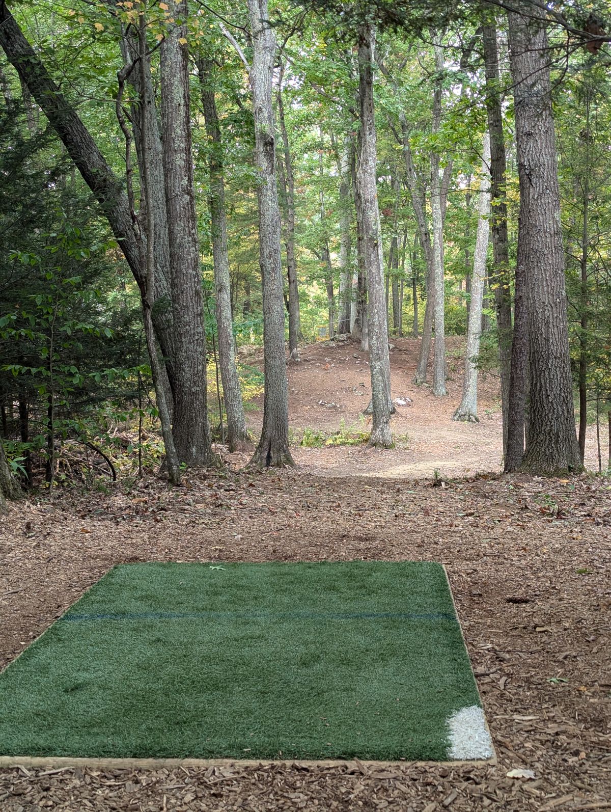 Hole 6 hanging basket