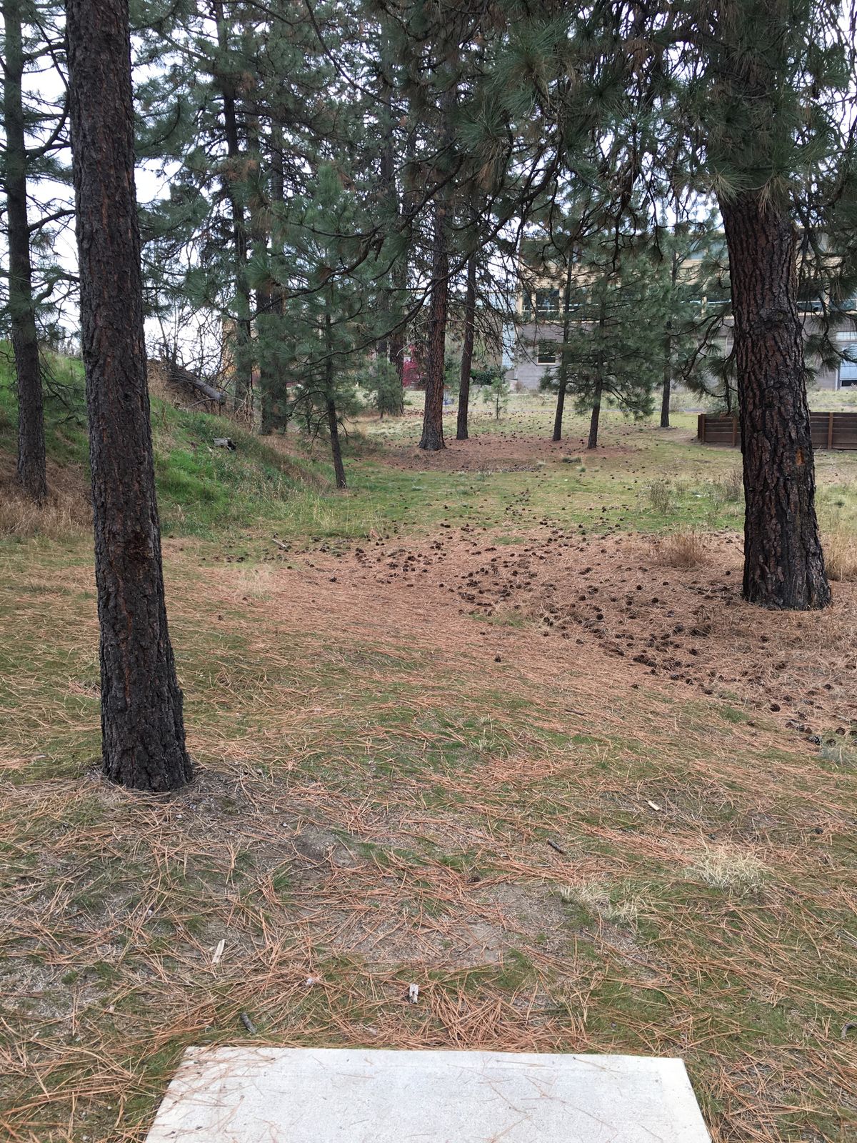 View from hole 9 tee box