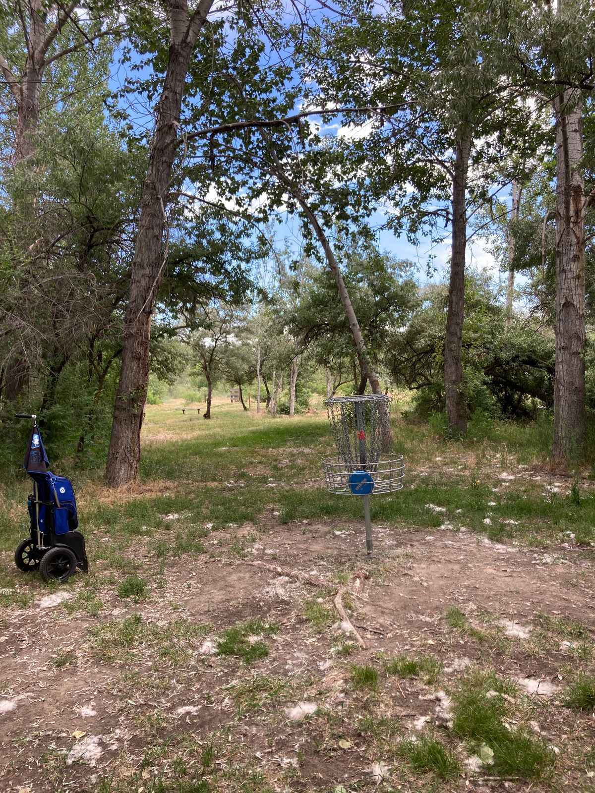 Looking back on fairway hole 12