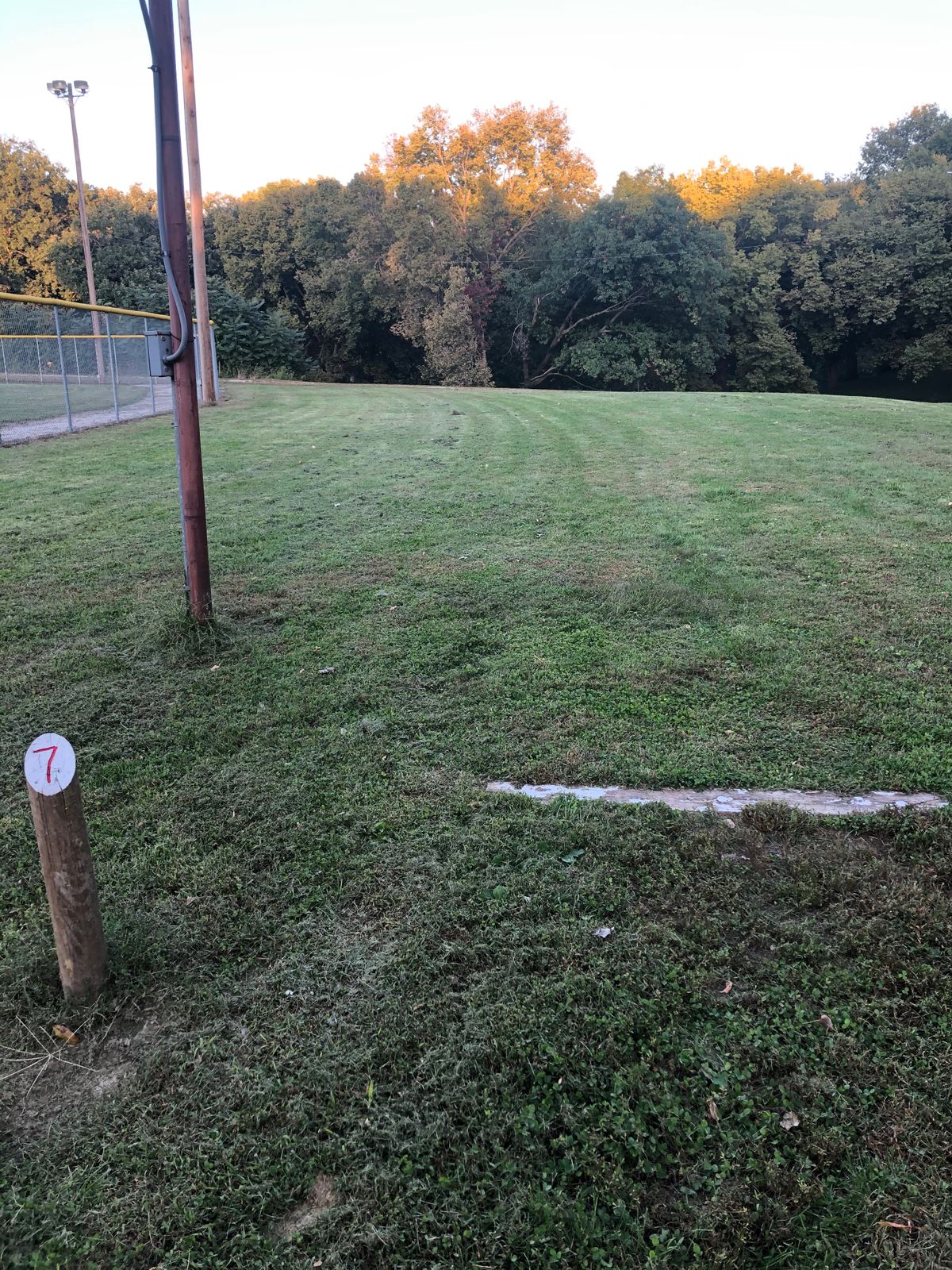 Hole 7 is a straight midrange, through the gap, fade left to the basket.
