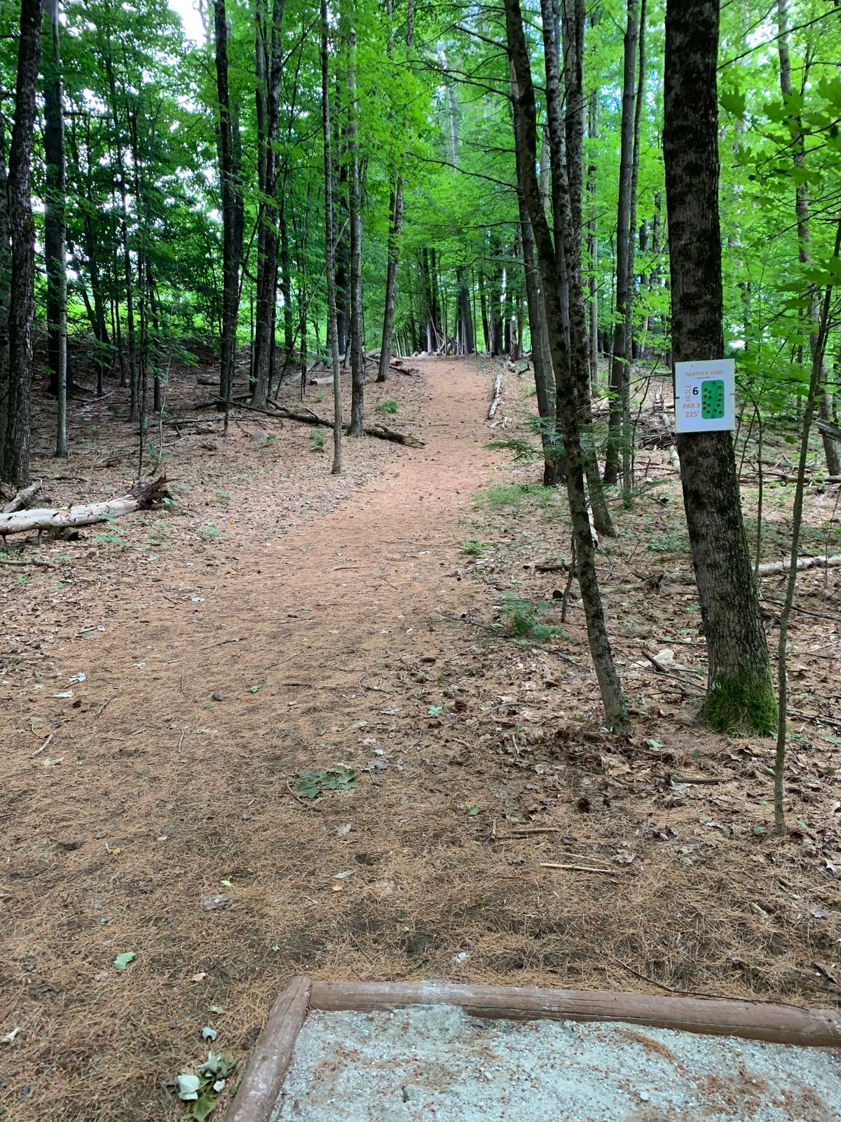 Hole 6 tee.