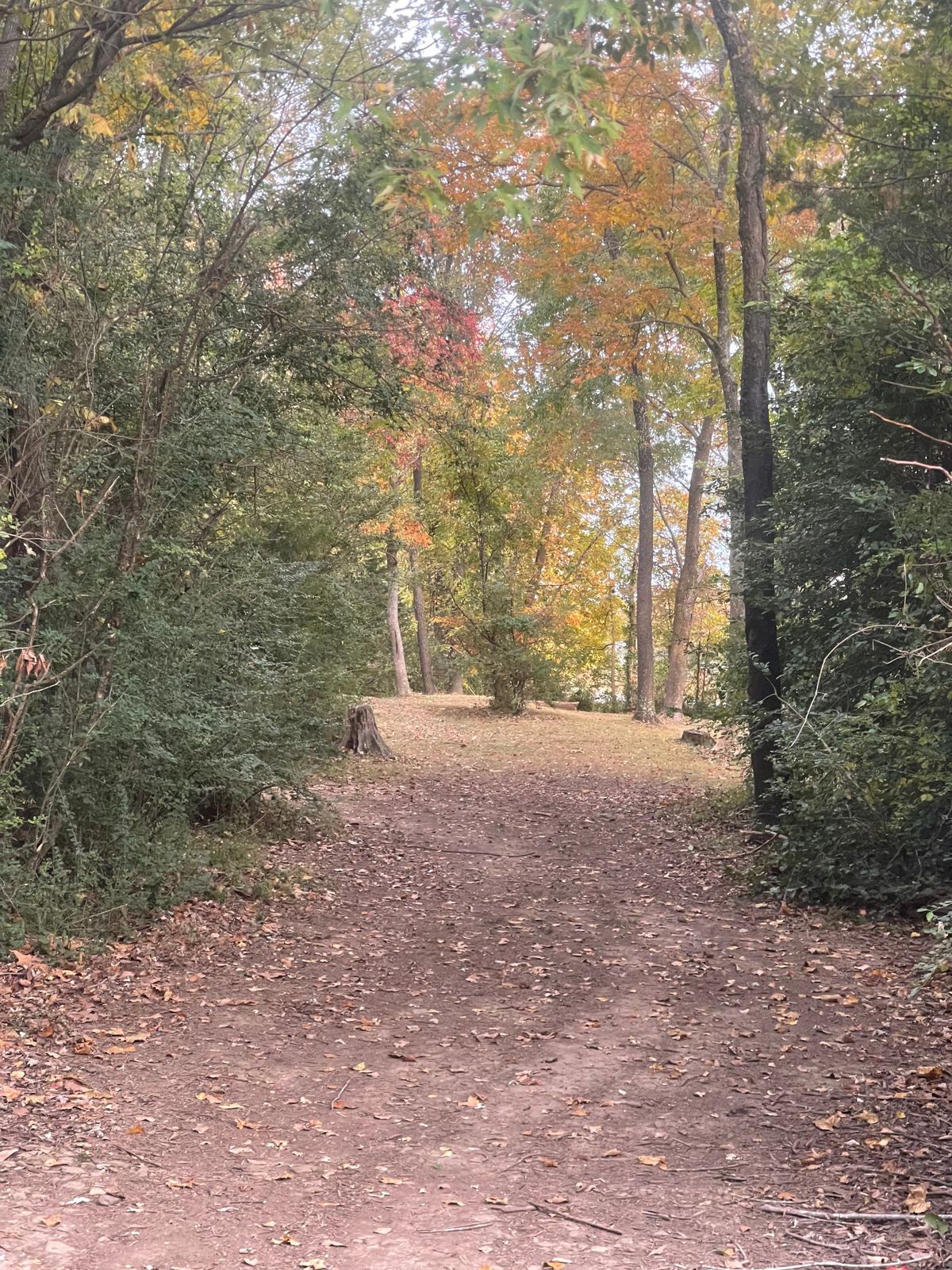 Hole 5