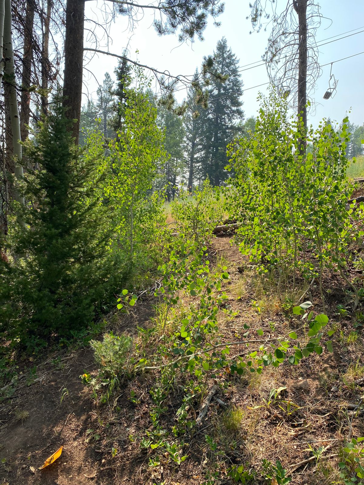 Hole 6