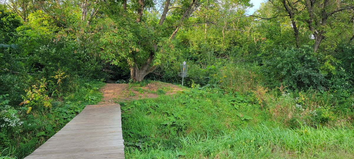 Hole 2 & 11